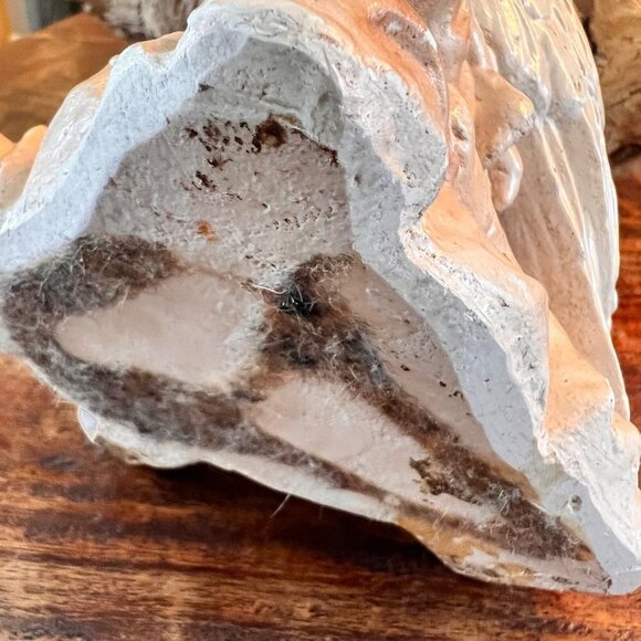 1940’s Chalkware Cockatoo - Picture 10 of 13